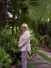 rain forest outside out room